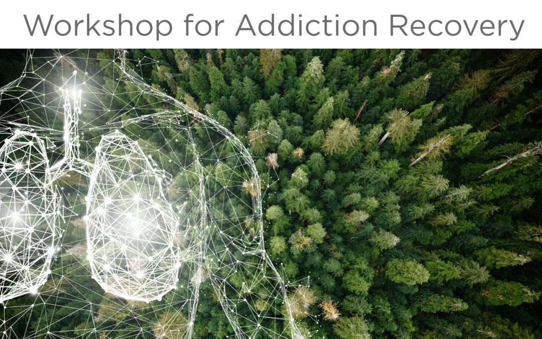 BCT for Addiction Recovery Workshop