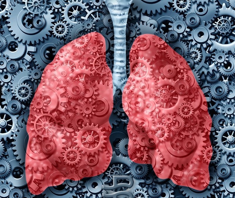 Functional breathing lungs