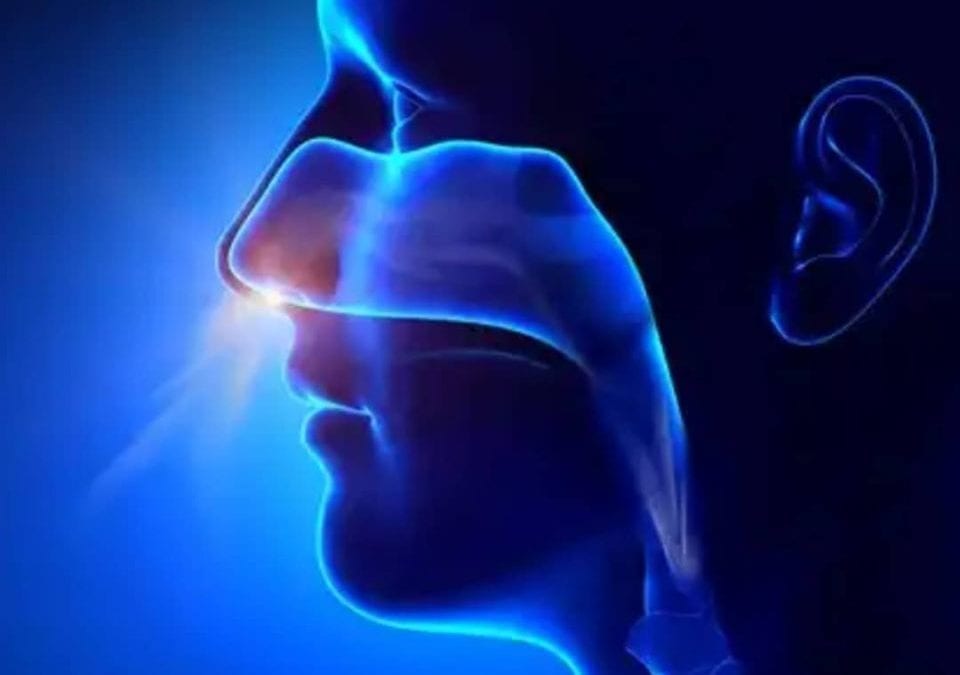 The Nitrogen Advantage of Nasal Breathing