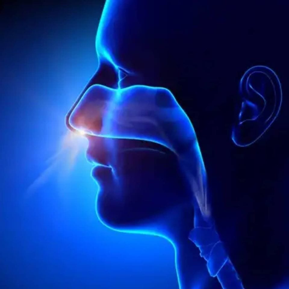 The Nitrogen Advantage of Nasal Breathing Breath Control